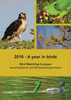 2016_A_year_in_birds_350 CFF 2016