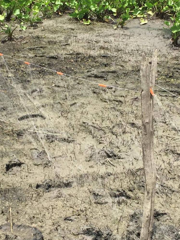 18698557_10211723029704115_2049620288_o