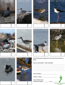 Bird telling kust 2 350px thumbnail