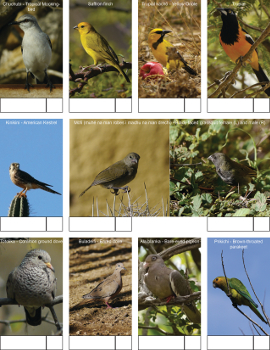 Bird telling tuin 1 350px thumbnail