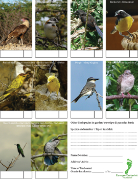 Bird telling tuin 2 350px thumbnail